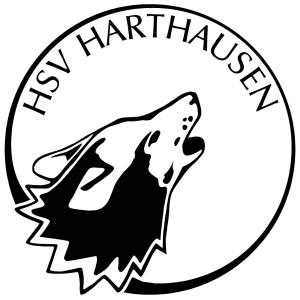 Logo Hsv1